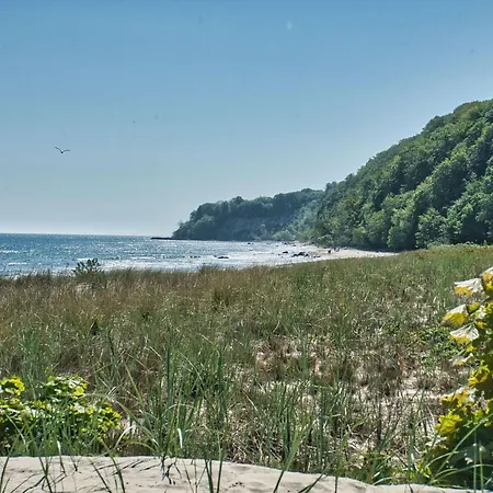 Apartment Reethaus Nr 01 Mit Kostenfreier Schwimmbadnutzung In Sellin *